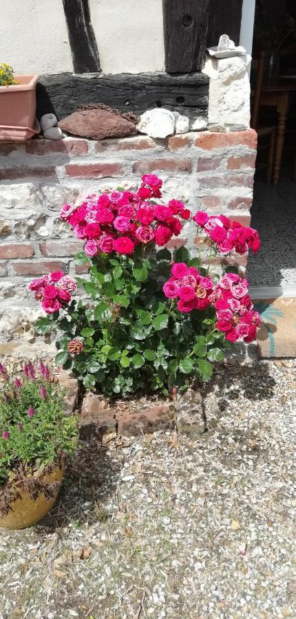 Le Clos Saint Leger Anxtot Bagian luar foto